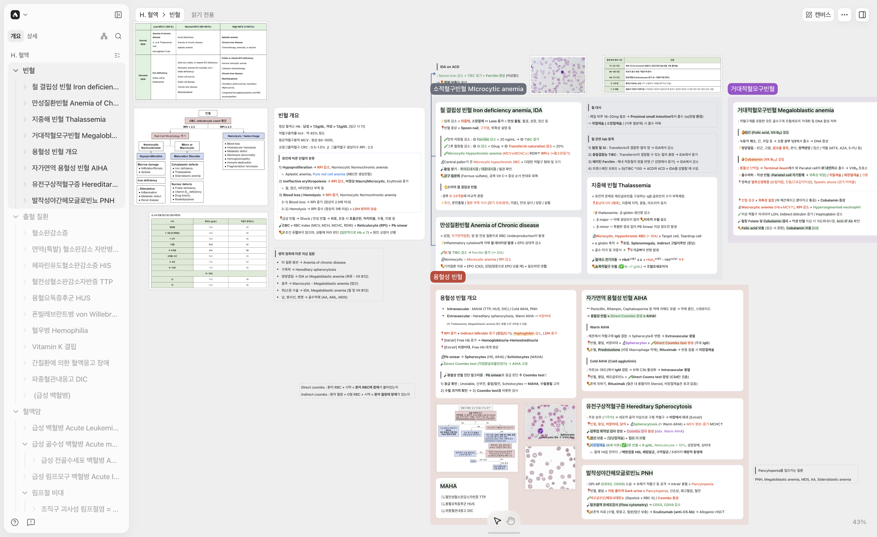 How Two Medical Students Built Visual Study Guides for Korea's Medical Licensing Exam